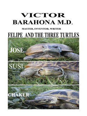 cover image of Felipe and the Three Turtles